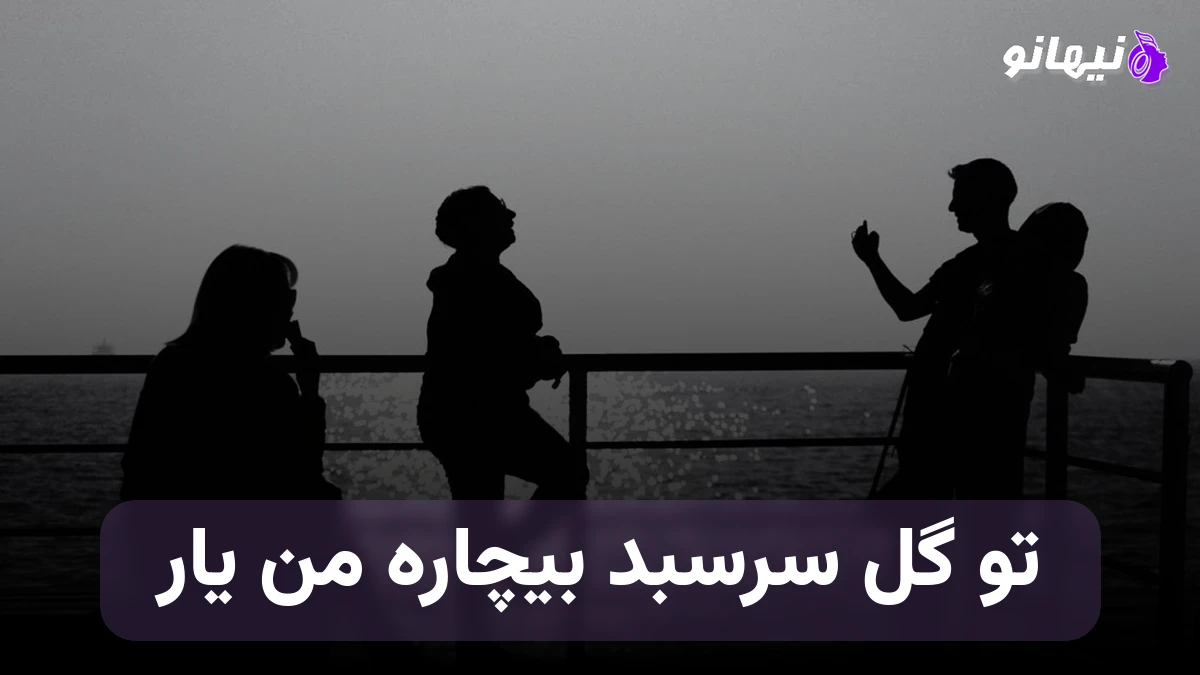 دانلود آهنگ تو گل سرسبد بیچاره من یار صدای زن